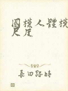 国模人体模特大尺度