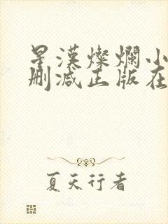 星汉灿烂小说无删减正版在线阅读封面