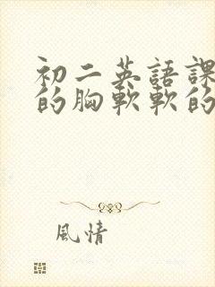 初二英语课代表的胸软软的