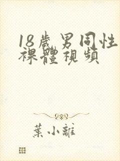 18岁男同性恋裸体视频