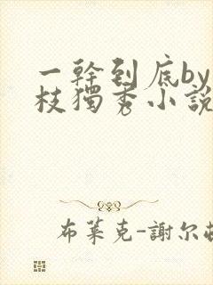 一干到底by一枝独秀小说免费阅读笔趣封面