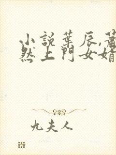 小说叶辰,萧初然上门女婿