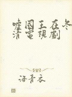 嘘国王在冬眠高清电视剧