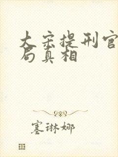 大宋提刑官2结局真相