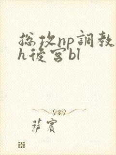 总攻np调教高h后宫bl