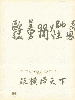欧美gay帅哥猛男同性恋互撸互打飞机视频