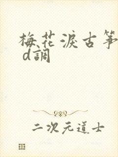 梅花泪古筝简谱 d调封面