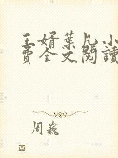 王婿叶凡小说免费全文阅读