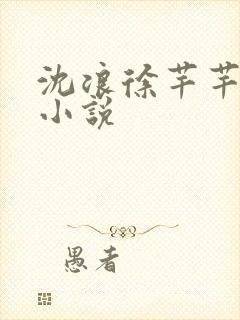 沈浪徐芊芊穿越小说封面