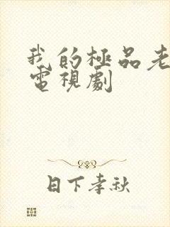 我的极品老爸 电视剧