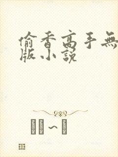 偷香高手无删减版小说