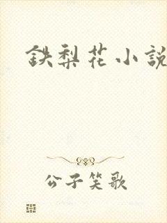 铁梨花小说