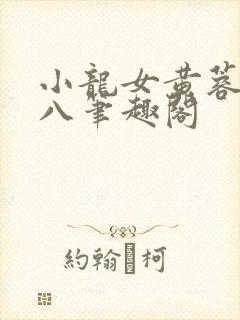 小龙女黄蓉和尤八笔趣阁封面