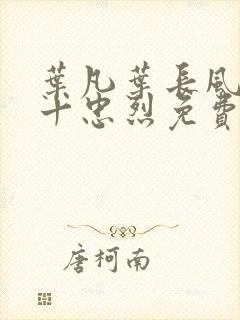 叶凡叶长风一门十忠烈免费全文