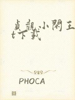 贞观小闲王txt下载