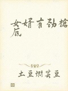 女婿有劲枪枪到底