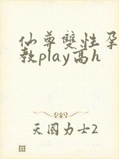 仙尊双性孕夫调教play高h