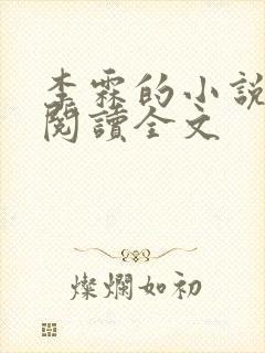 李霖的小说免费阅读全文封面