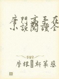 唐门高手在异世小说阅读全文封面