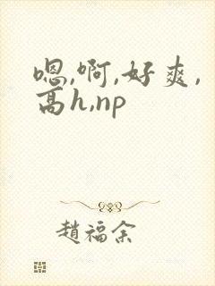 嗯,啊,好爽,高h,np