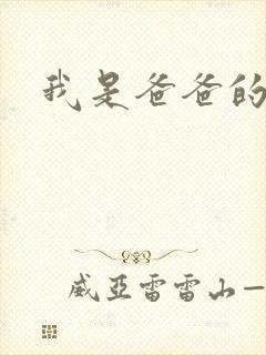 我是爸爸的玩具封面