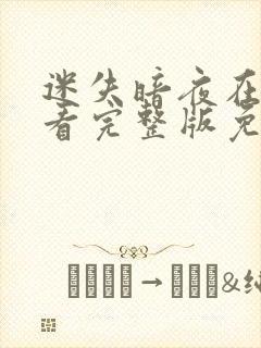 迷失暗夜在线观看完整版免费高清封面