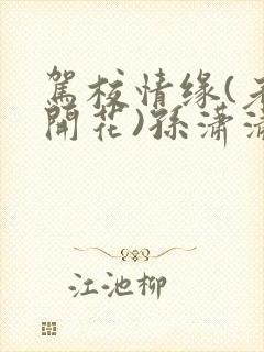 驾校情缘(老树开花)孙潇潇笔趣阁