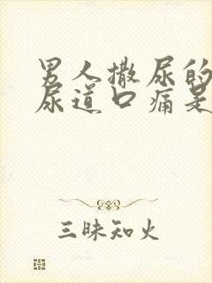 男人撒尿的时候尿道口痛是什么原因