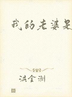 我的老婆是军阀封面