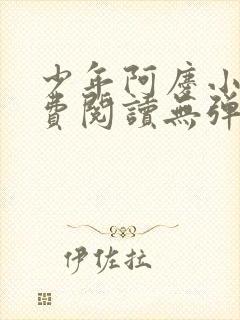 少年阿庆小说免费阅读无弹窗