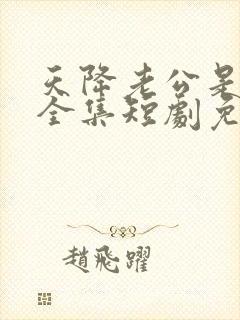 天降老公是大佬全集短剧免费播放封面