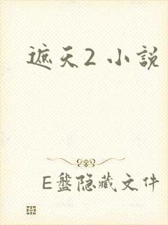 遮天2 小说