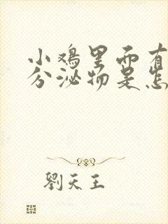 小鸡里面有黄色分泌物是怎么回事