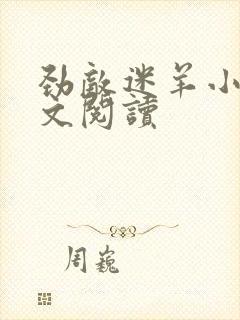 劲敌迷羊小说全文阅读