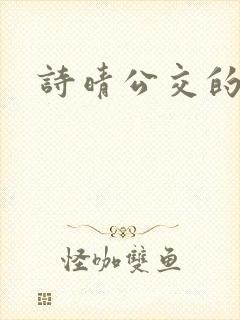 诗晴公交的小说