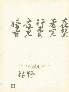 暗夜行者在线观看免费完整版封面