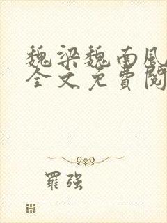 魏梁魏南风po全文免费阅读笔趣阁