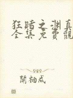 狂赌之渊真人版全集免费观看封面