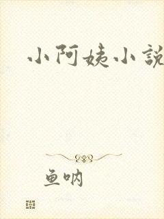 小阿姨小说