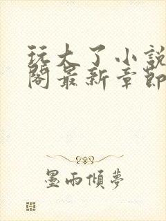 玩大了小说笔趣阁最新章节无弹窗