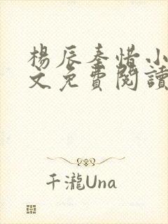 杨辰秦惜小说全文免费阅读笔趣阁