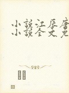 小说江辰唐楚楚小说全文免费阅读