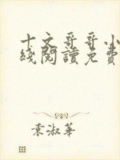 十文哥哥小说在线阅读免费