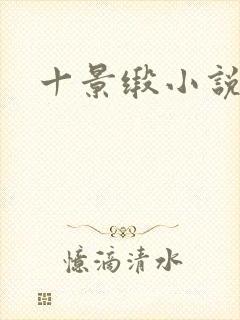 十景缎小说封面