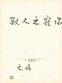 兽人之宠你为上