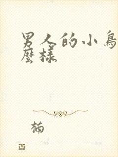 男人的小鸟长什么样