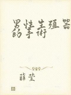 男性生殖器延长的手术