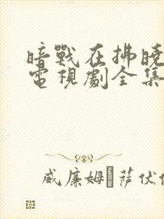 暗战在拂晓之前电视剧全集免费观看