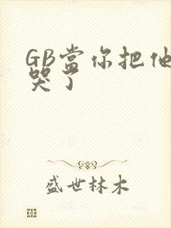 GB当你把他抄哭了封面