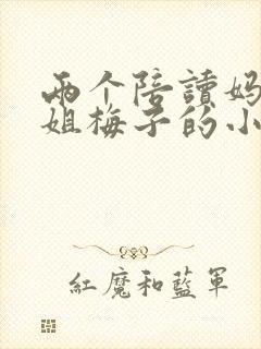 两个陪读妈妈赵姐梅子的小说